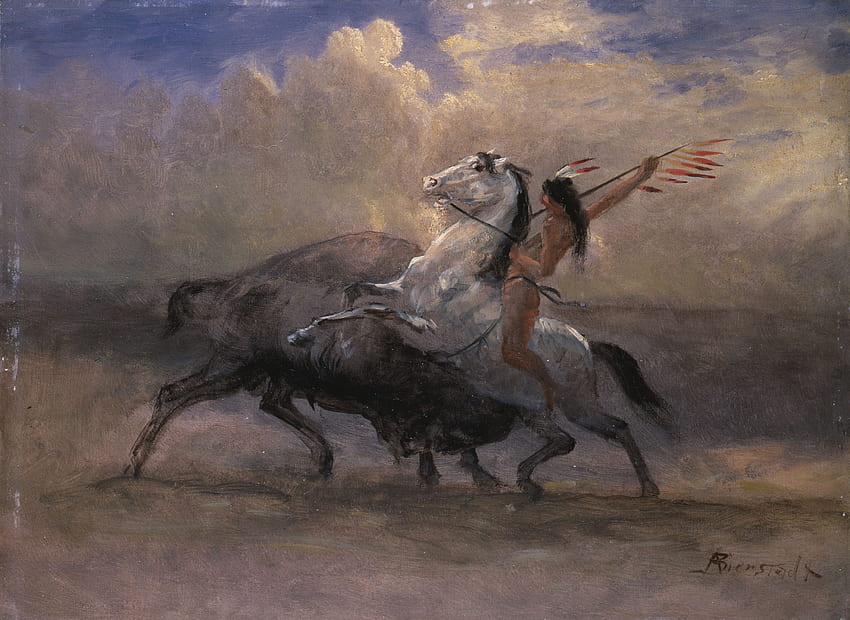 Albert Bierstadt - Sketch for The Last of the, Native American Buffalo HD wallpaper