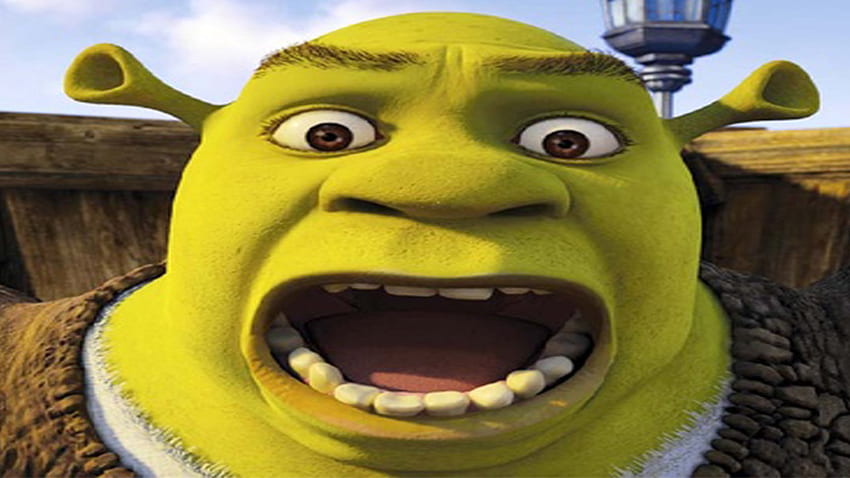 Shrek , - Shrek Good Luck Meme - & Background , Aesthetic Shrek Wallpaper HD