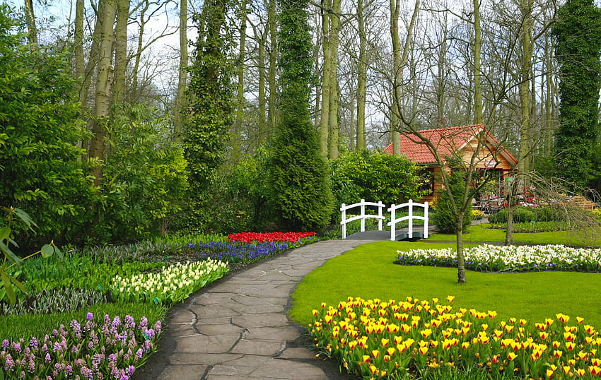 Park in summer, garden, beautiful, grass, alleys, park, summer, trees, greenery, flowers HD wallpaper
