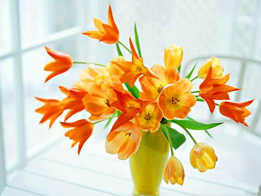 Flores para amigos, jarrón soleado, brillante, flores, primavera, naranja y dorado. fondo de pantalla