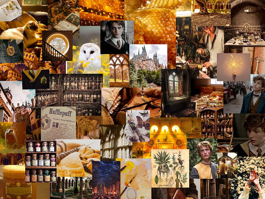 Hufflepuff aesthetic in 2021. Hufflepuff aesthetic, Hogwarts, Collage ...