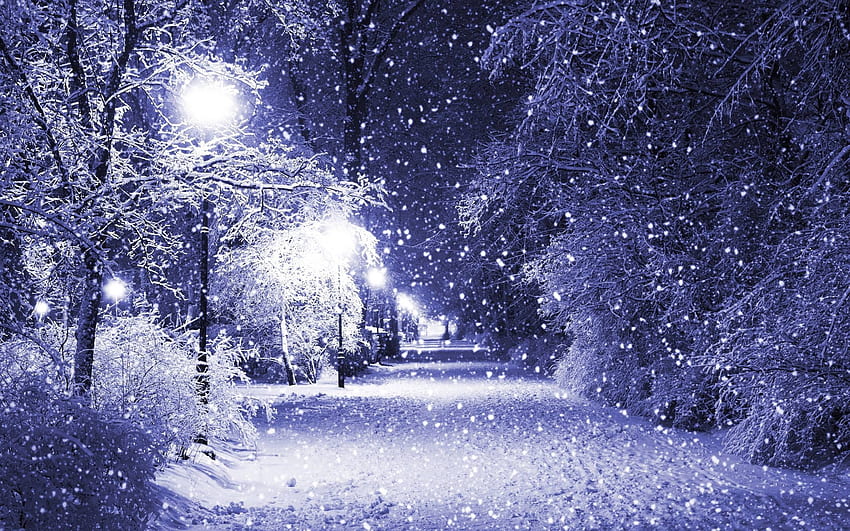 Snowy Christmas, Snowy Christmas Night HD wallpaper