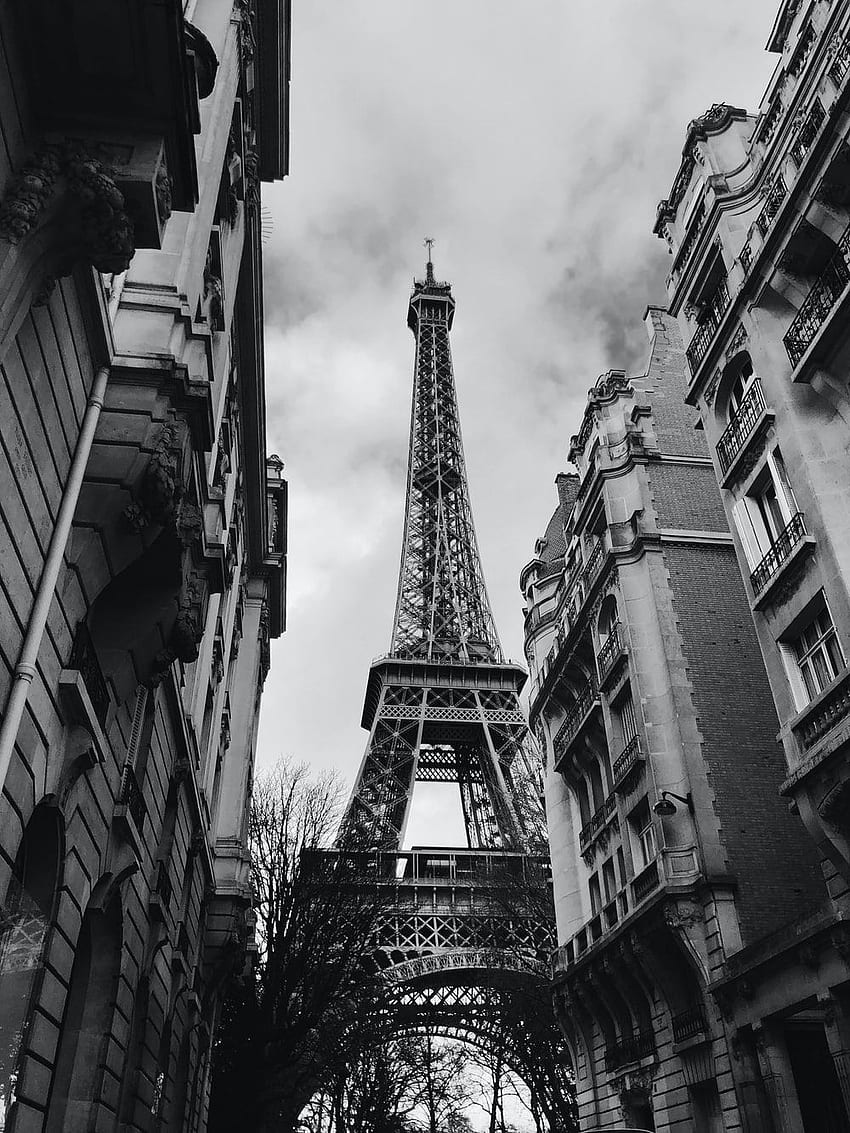 Paris Street, Black and White Paris HD phone wallpaper | Pxfuel