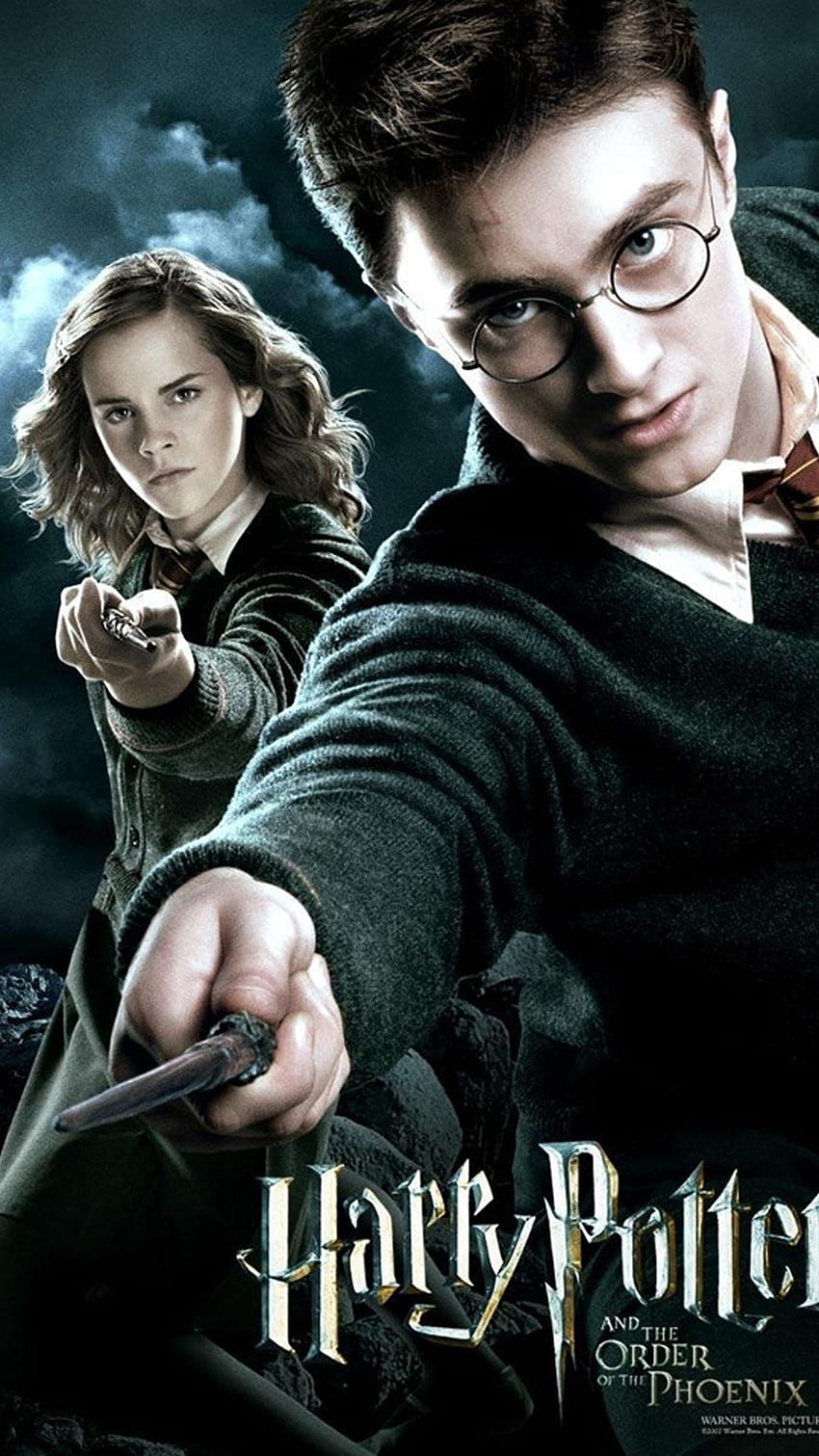 Harry Potter Ron Weasley Hermione Granger HD phone wallpaper | Pxfuel
