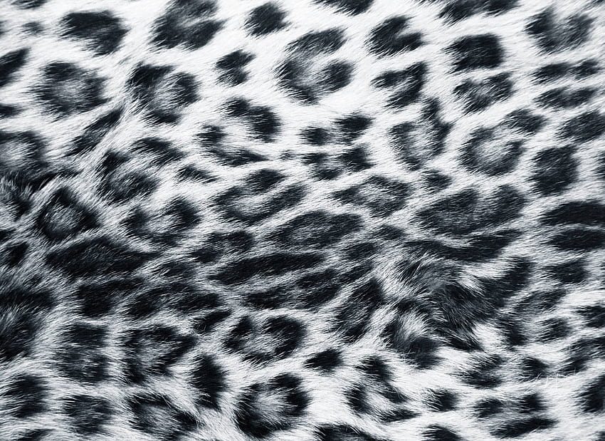 Leopard Print (Page 1), Animal Print HD wallpaper