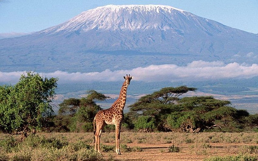Планината Килиманджаро 25 1699 X 1080 stmednet HD тапет