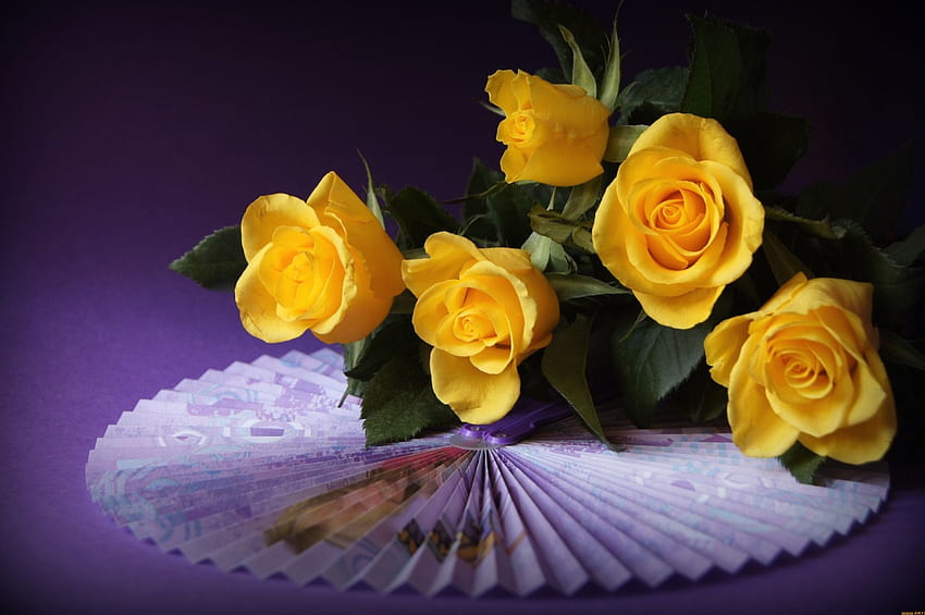 For you with love, roses, color, expression, yellow, , new HD wallpaper