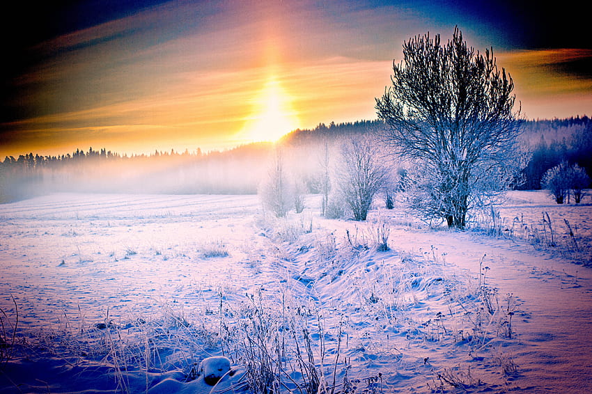 Winter, Natur, Schnee, Wald, Weg HD-Hintergrundbild