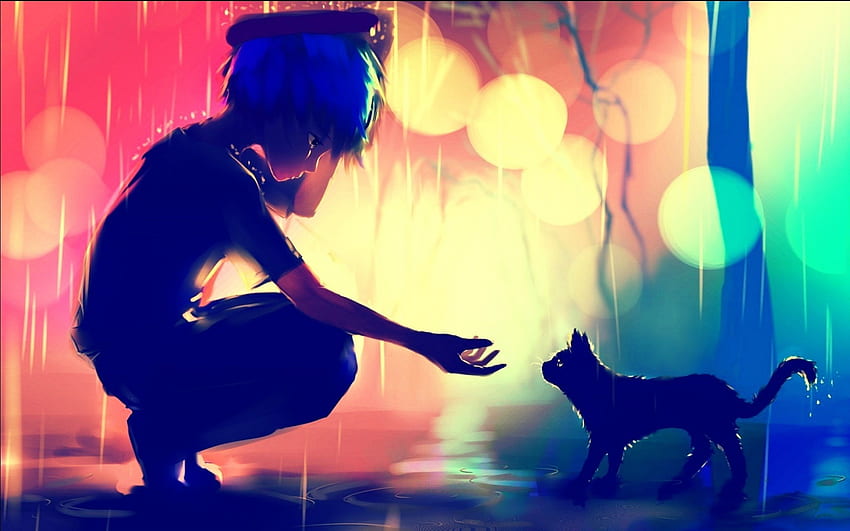 アニメの少年、猫、悲しみ、横顔、ボケ、雨、国内。 黒猫の絵, アニメ , アニメの風景, アニメ猫の少年 高画質の壁紙