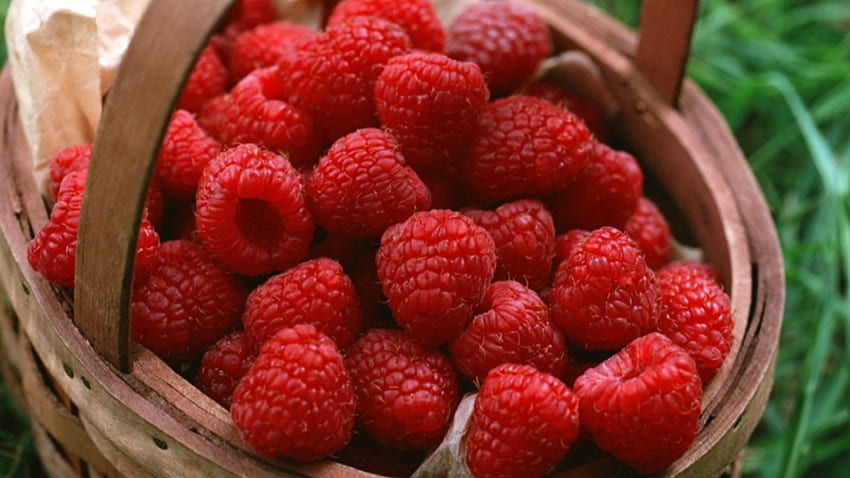 *** Raspberry Lezat ***, koszyk, natura, owoce, maliny Wallpaper HD
