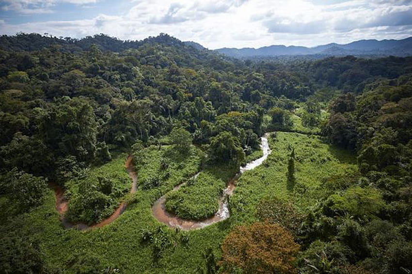 Explorers hunting for mystery city in Honduran rainforest find, Honduras Landscape HD wallpaper