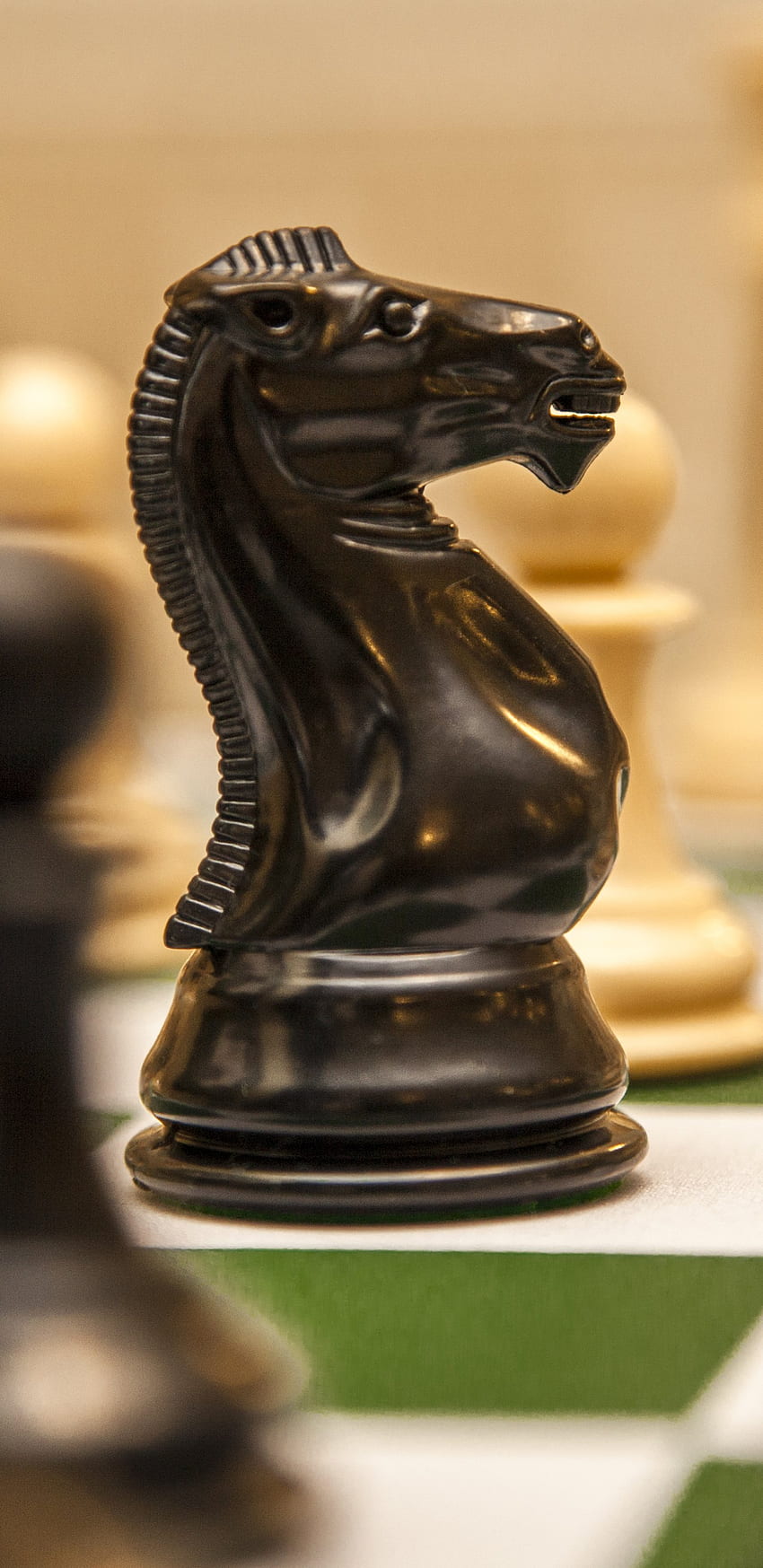 Spiel Schach (), Schachpferd HD-Handy-Hintergrundbild