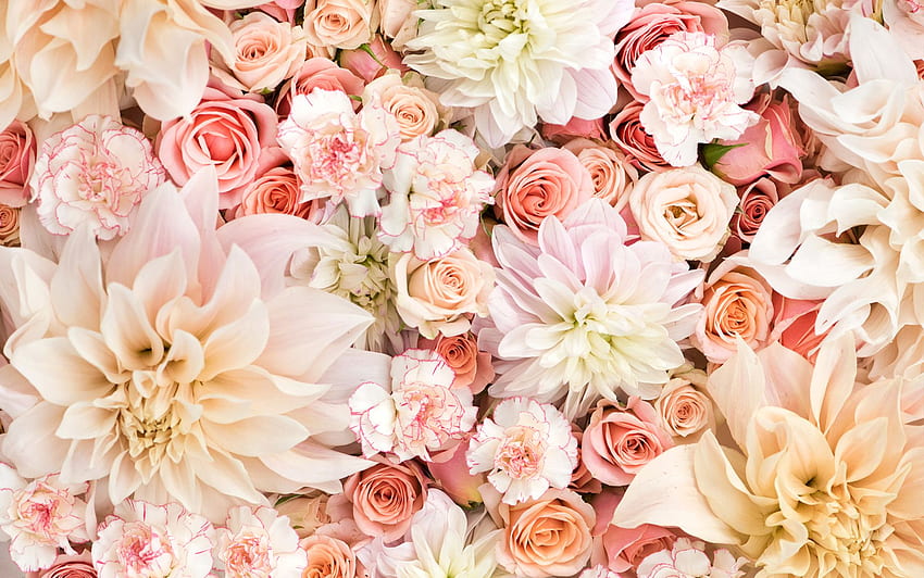 Floral Background For Laptop. Floral, Blush Floral HD wallpaper