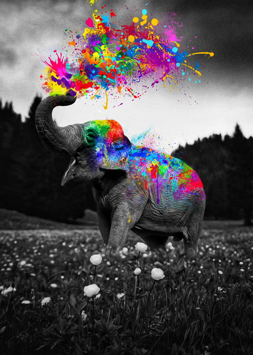 Plakat Elephant Color Splash autorstwa gen. Z. Displate. Sztuka ścienna zwierząt, malarstwo płócienne psa, sztuka ścienna słonia, kolorowa sztuka słonia Tapeta na telefon HD