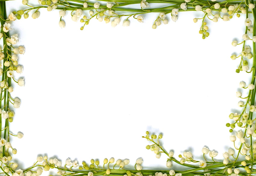 frame design, Flower Frame HD wallpaper
