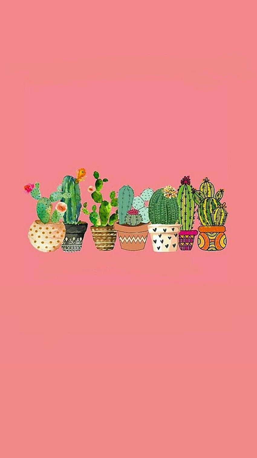 Cactus iPhone - -, Pink Cactus HD phone wallpaper | Pxfuel