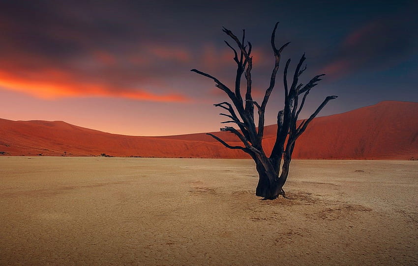 niebo, pustynia, susza, szkopuł za , sekcja природа Tapeta HD