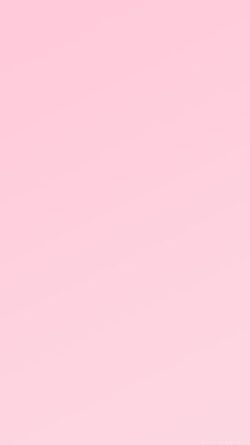 Baby Pink Plain Pink ., Solid Pastel Pink HD phone wallpaper |  Pxfuel