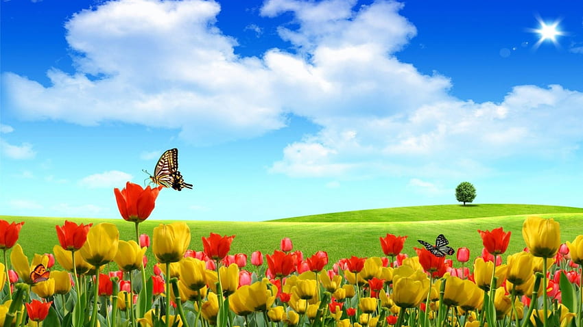 꽃밭, 푸른, 동물, 검은, 평화로운, livingdoll, 나비, 꽃, 태양, 곤충, 구름, 화이트, 색깔, 잔디, 색깔, 나무, 담홍색, 식물, 들, 녹색, 노랑, 빨간, 자연, 하늘, 평화 HD 월페이퍼