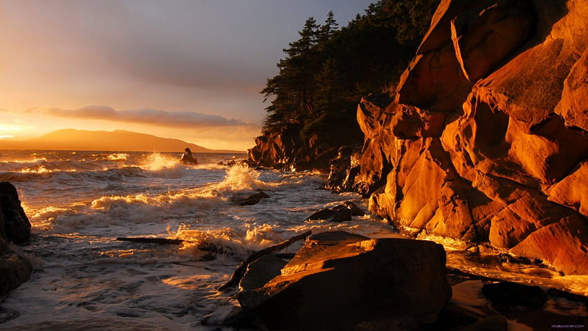 Wet Sunset, sea, waves, cliffs, trees, sunset, ocean HD wallpaper