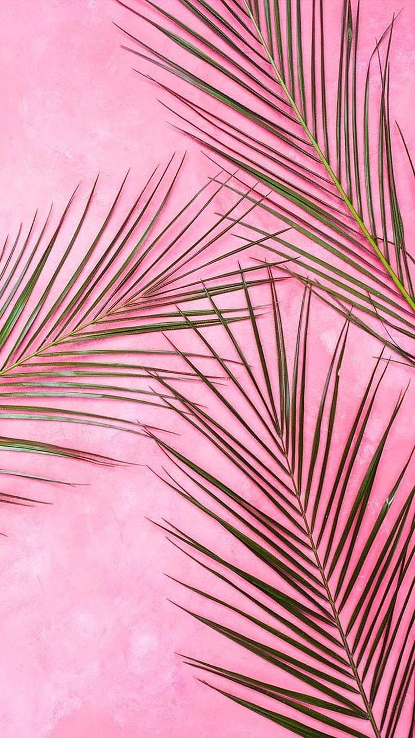 Pink Baddie Aesthetic Louis Vuitton HD phone wallpaper