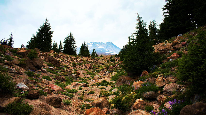 Oregon'daki Mt Hood Ulusal Ormanı'nda kasvetli bir gün, ağaçlar, gökyüzü, ABD, taşlar, dağ HD duvar kağıdı