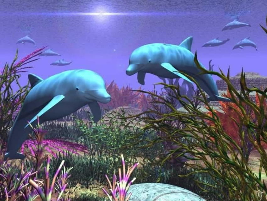 Lumba-lumba, hewan, ikan, air, lumba-lumba Wallpaper HD