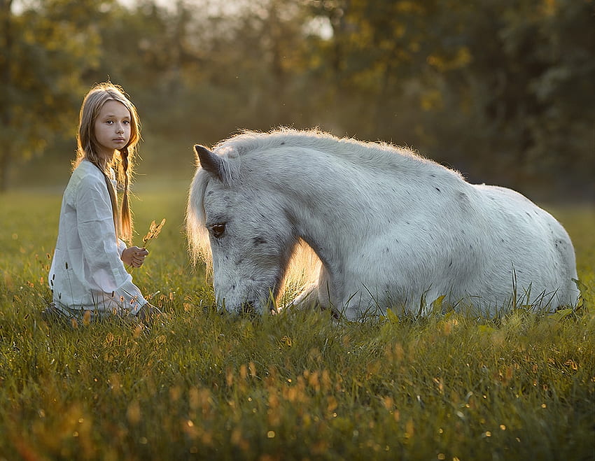 Mała dziewczynka i koń, zwierzę, biel, koń, kowbojka, dziewczyna, copil, mały, lato, dziecko Tapeta HD