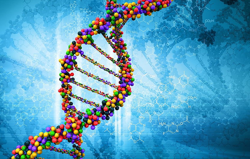 DNA, Life, Chemistry, Molecule, Science, Biology for , section рендеринг HD wallpaper