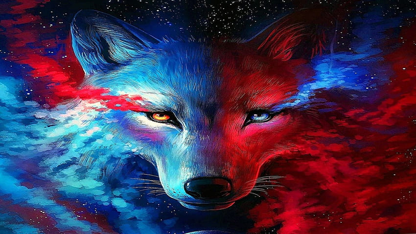 Galaxy Fox, Wolf and Fox HD wallpaper | Pxfuel