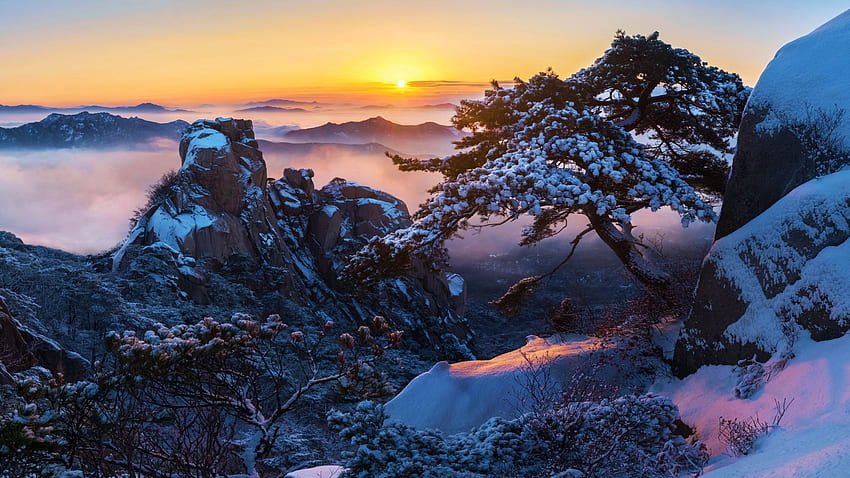 Зимна сутрин в Южна Корея, мъгла, цветове, пейзаж, облаци, небе, скали, дърво, изгрев, сняг HD тапет