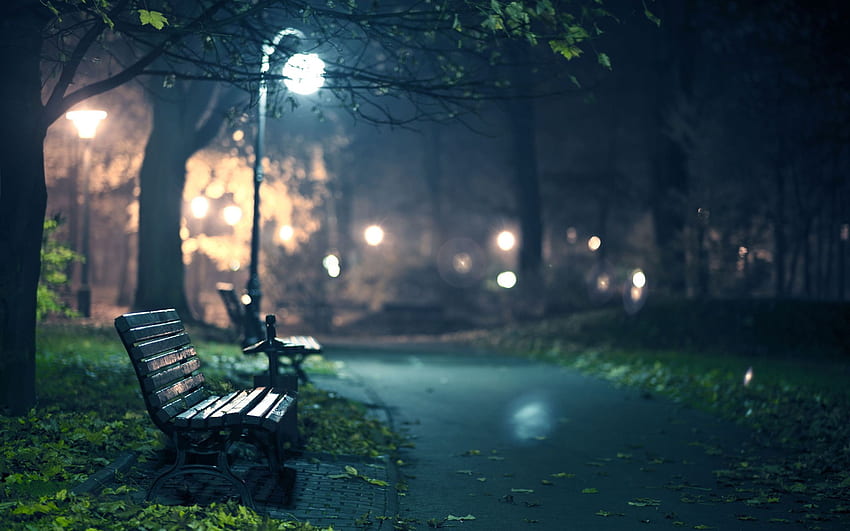 Awesome Park Bench HD wallpaper