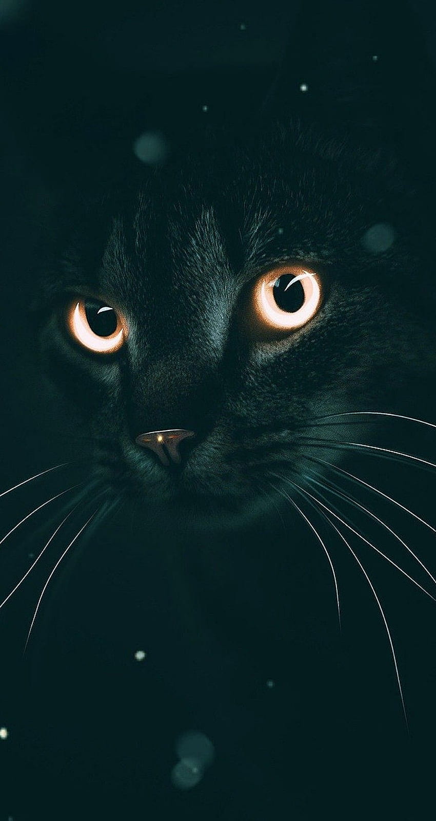 Amor de inverno em Meow Meows. Arte de gatos guerreiros, Estética de gato, Estética de gato preto Papel de parede de celular HD