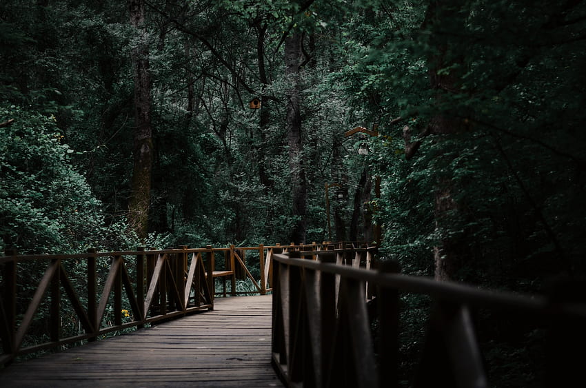 Drewniany most, ogród, przyroda Tapeta HD