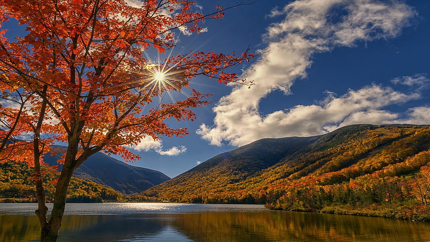 Lake in the fall, autumn, sun, tree, lake HD wallpaper | Pxfuel