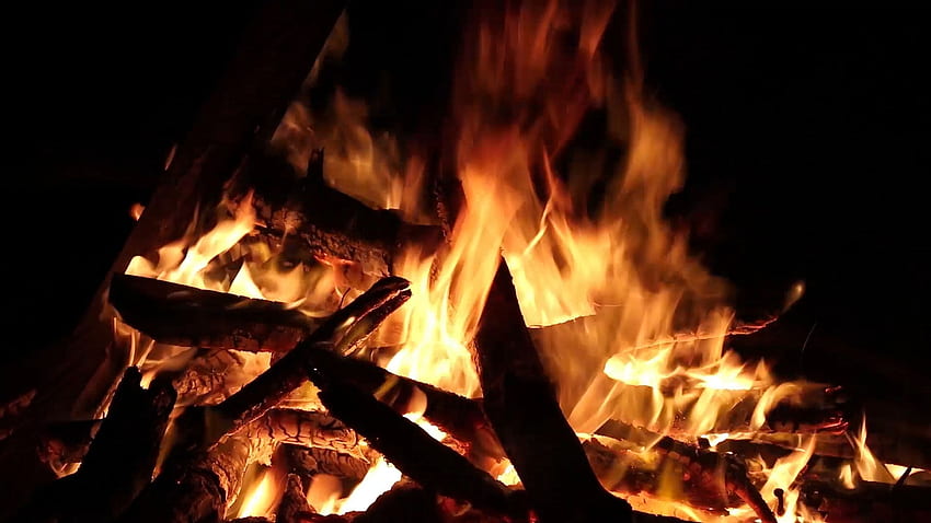 The Real Story of Bonfire Night, Fall Bonfire HD wallpaper