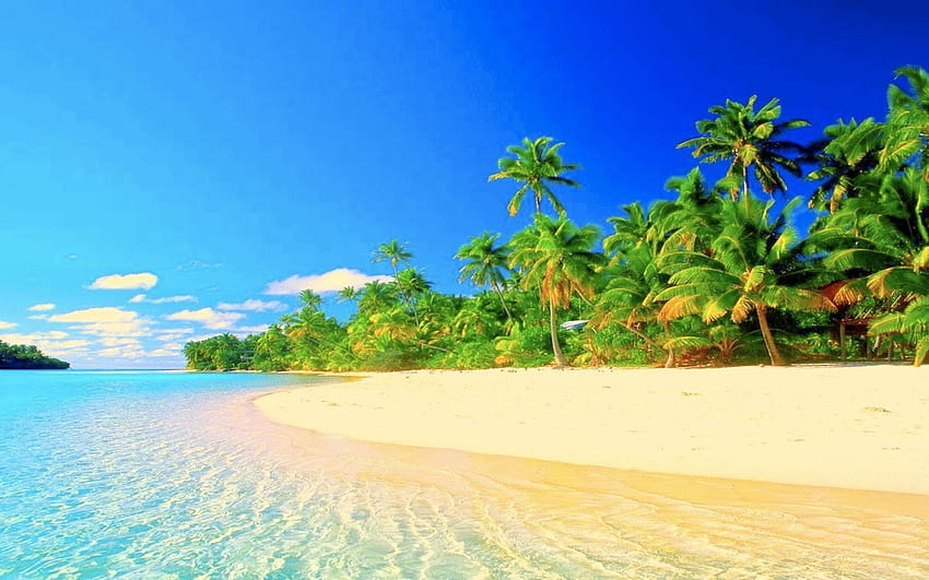 Fond de plage paradisiaque, paradis tropical de l'île Fond d'écran HD