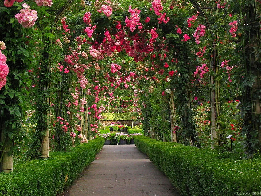 Bellissimo giardino, giardinaggio Sfondo HD