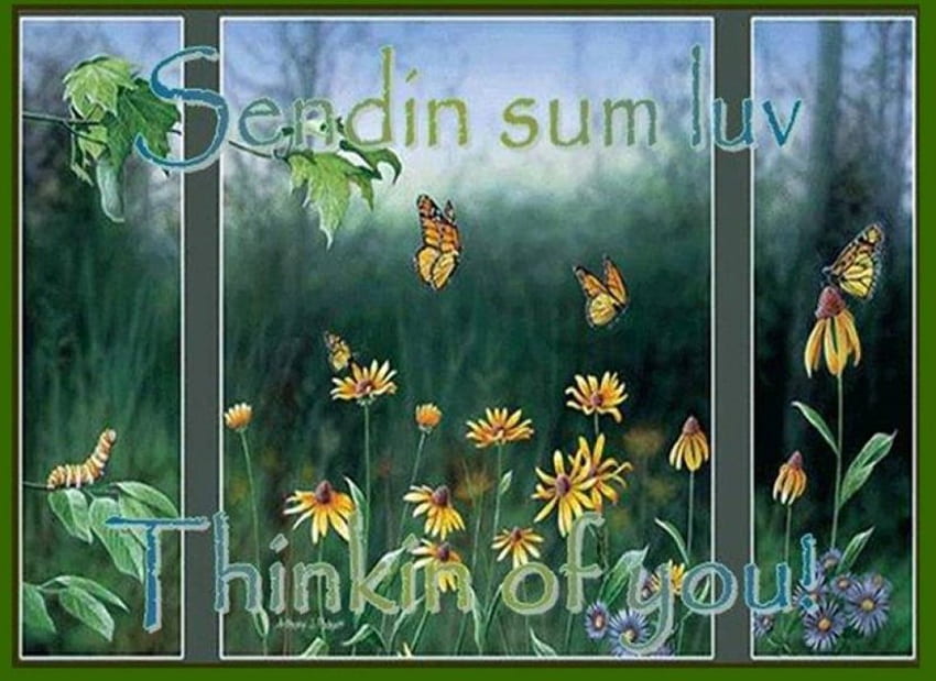 Sending sum luv, butterflies, words, window, art, nature HD wallpaper