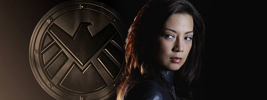 Marvel's Agents of SHIELD: Face My Enemy レビュー、Marvel's Agents of S.H.I.E.L.D. 高画質の壁紙