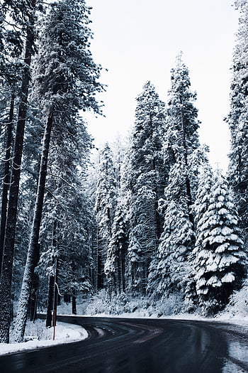Winter, Nature, Snow, Road, Turn, Ate HD wallpaper | Pxfuel