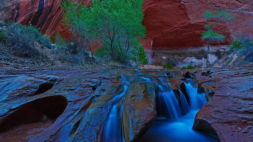 Gulch Tag : Canyons Gulch Coyote Desert Stream Canyon Utah, Philippines Waterfall HD wallpaper