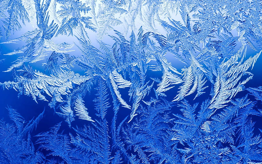 ice crystals. Flocos de neve HD wallpaper