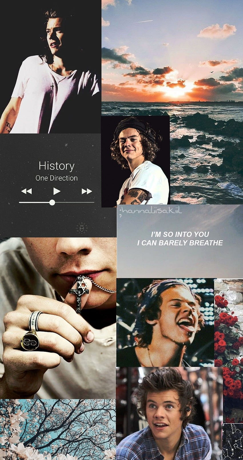 Harry Styles . Harry styles lockscreen, Harry styles , Harry styles, History Collage HD phone wallpaper