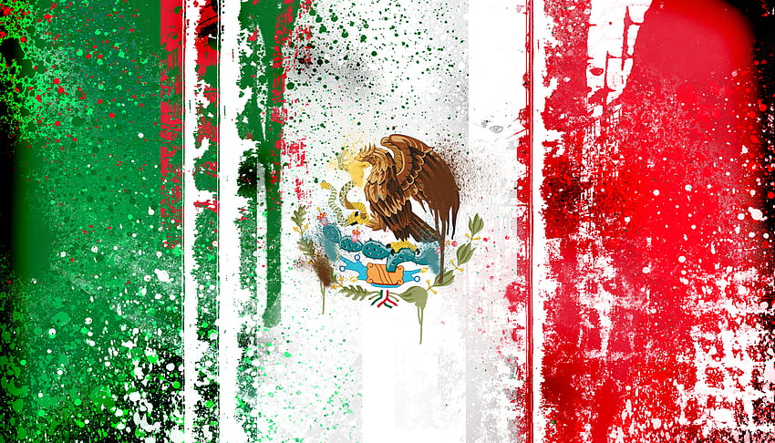 Боя за мексиканско знаме, боя, цветове, флаг, Мексико HD тапет