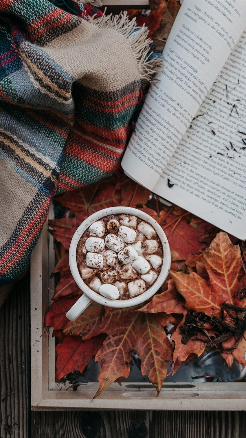 Coffee, cocoa, marshmallow, book, leaves, autumn, Autumn Coffee Books HD phone wallpaper