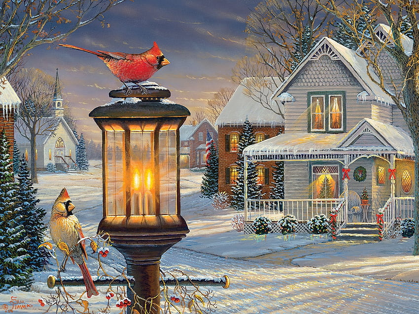 Evimize Hoş Geldiniz, kış, ışık, çift, fener, kardinaller HD duvar kağıdı