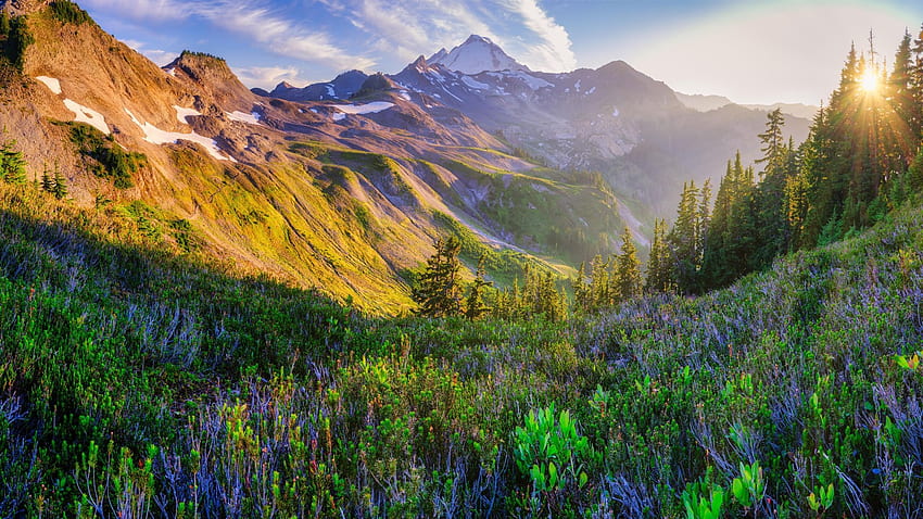Mt. Baker nell'ora d'oro, Washington, valle, cime, paesaggio, alberi, nuvole, cielo, usa Sfondo HD