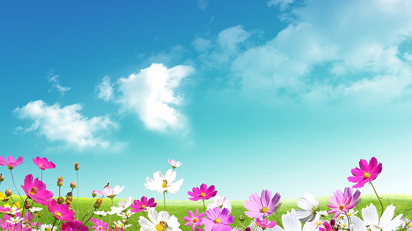 Spring PC Background HD wallpaper