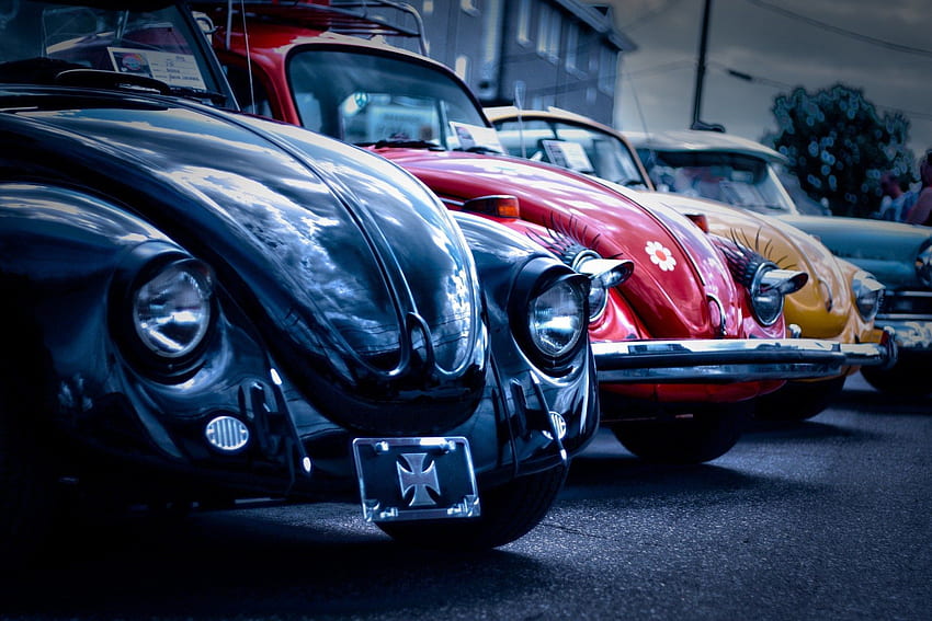 VW Escarabajo. Volkswagen, Los mejores coches clásicos, Coche fondo de pantalla